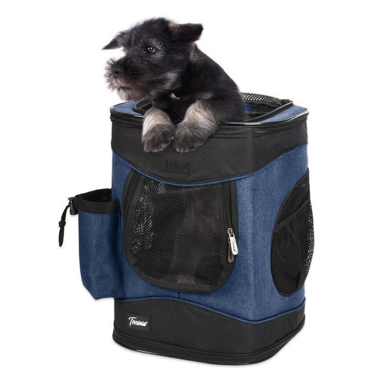 Dog hiking sales backpack carrier